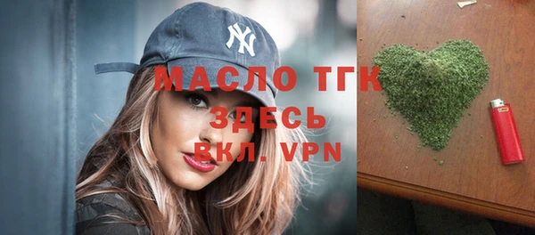 тгк Ельня