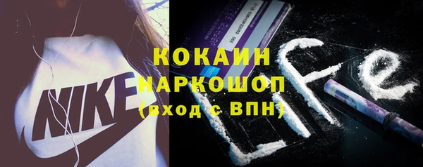 гидра Елизово