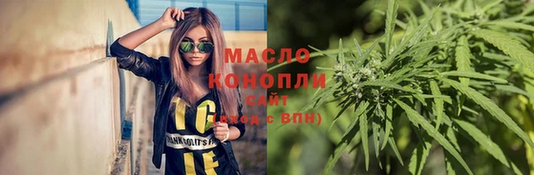 тгк Ельня
