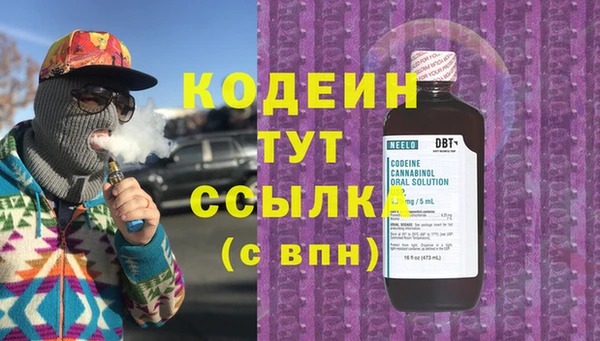тгк Ельня