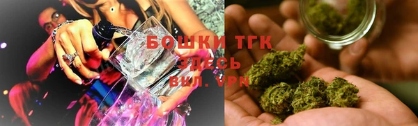 крисы Надым