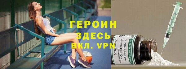 гидра Елизово