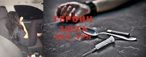 гидра Елизово