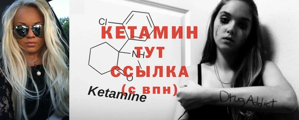 тгк Ельня