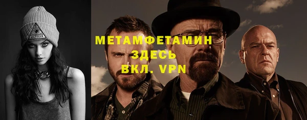 гидра Елизово
