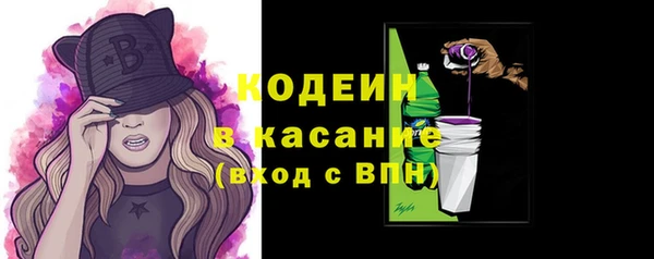 гидра Елизово