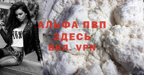 тгк Ельня