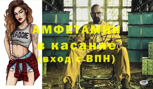 тгк Ельня