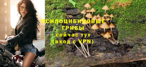 стаф Наволоки