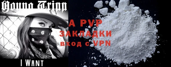 крисы Надым