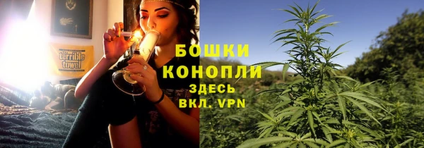 индика Дмитриев